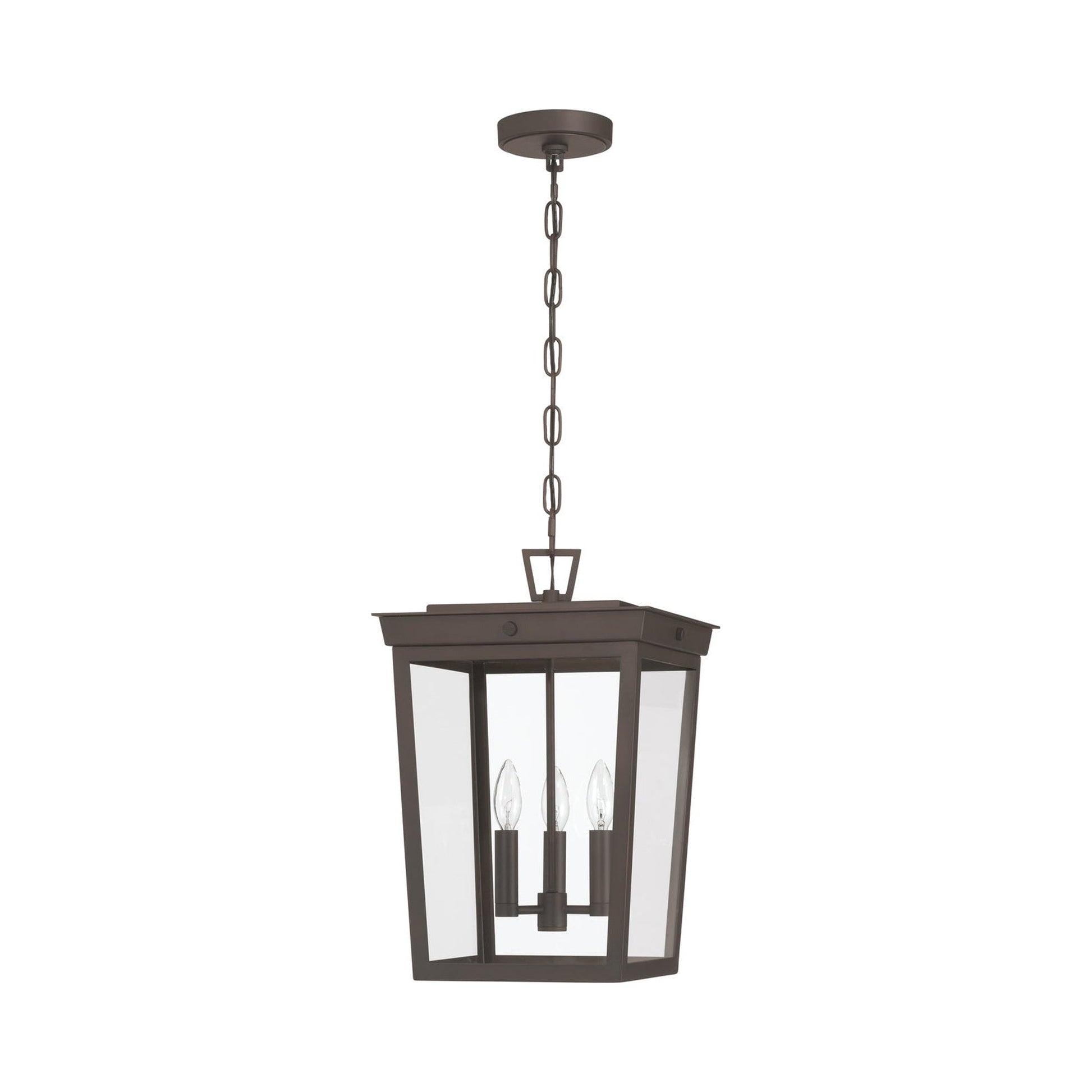 Belmont Outdoor Pendant Light.