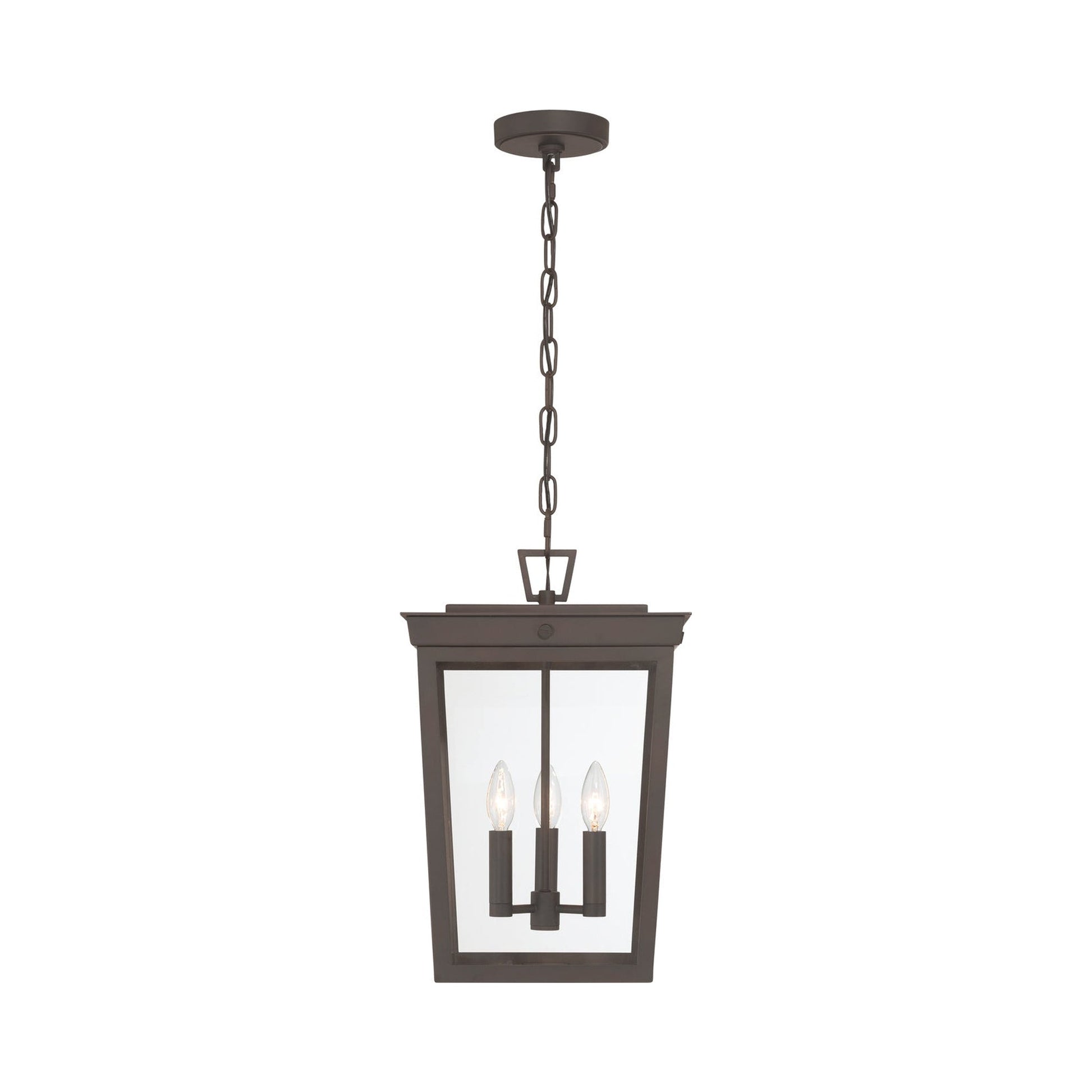 Belmont Outdoor Pendant Light in Detail.