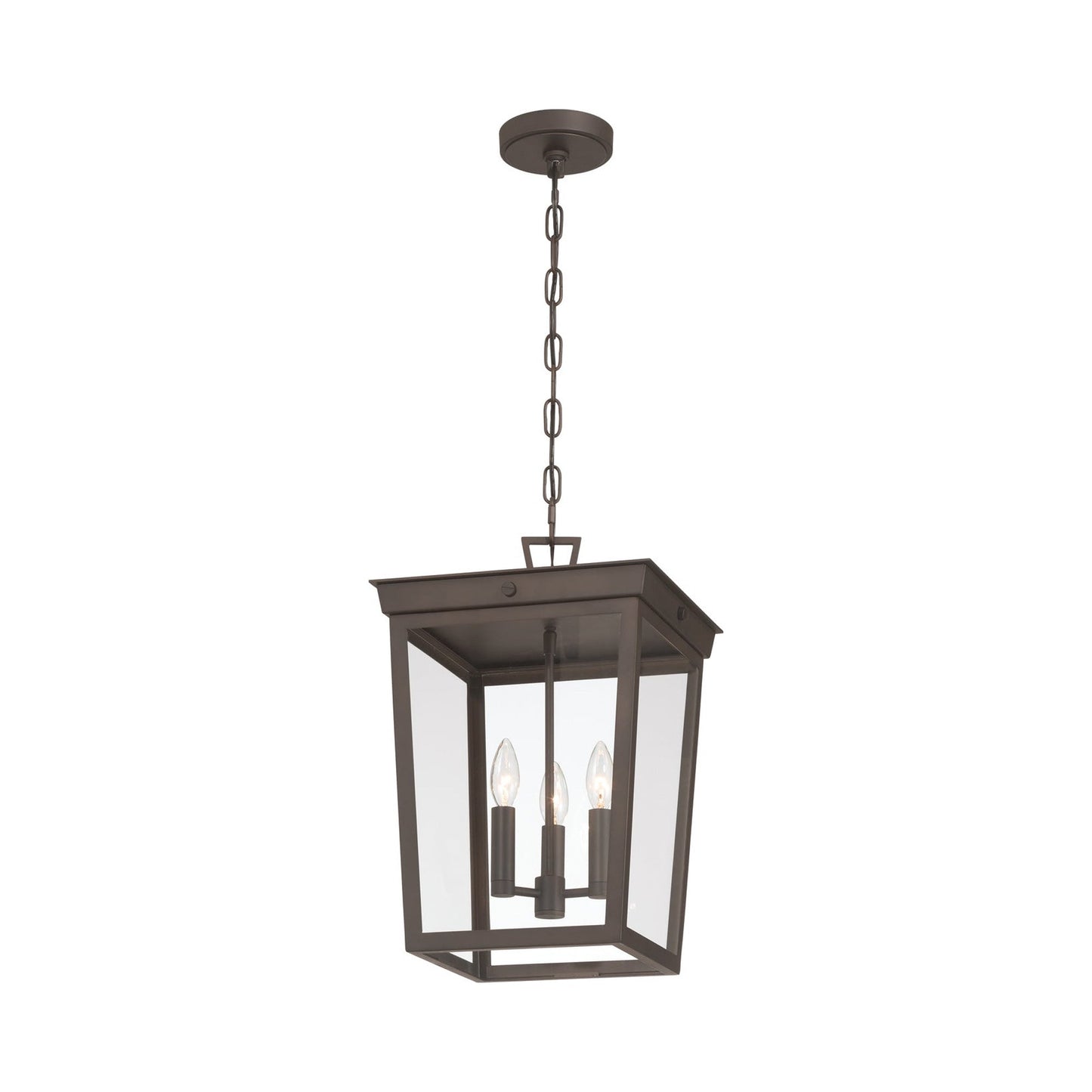 Belmont Outdoor Pendant Light in Detail.