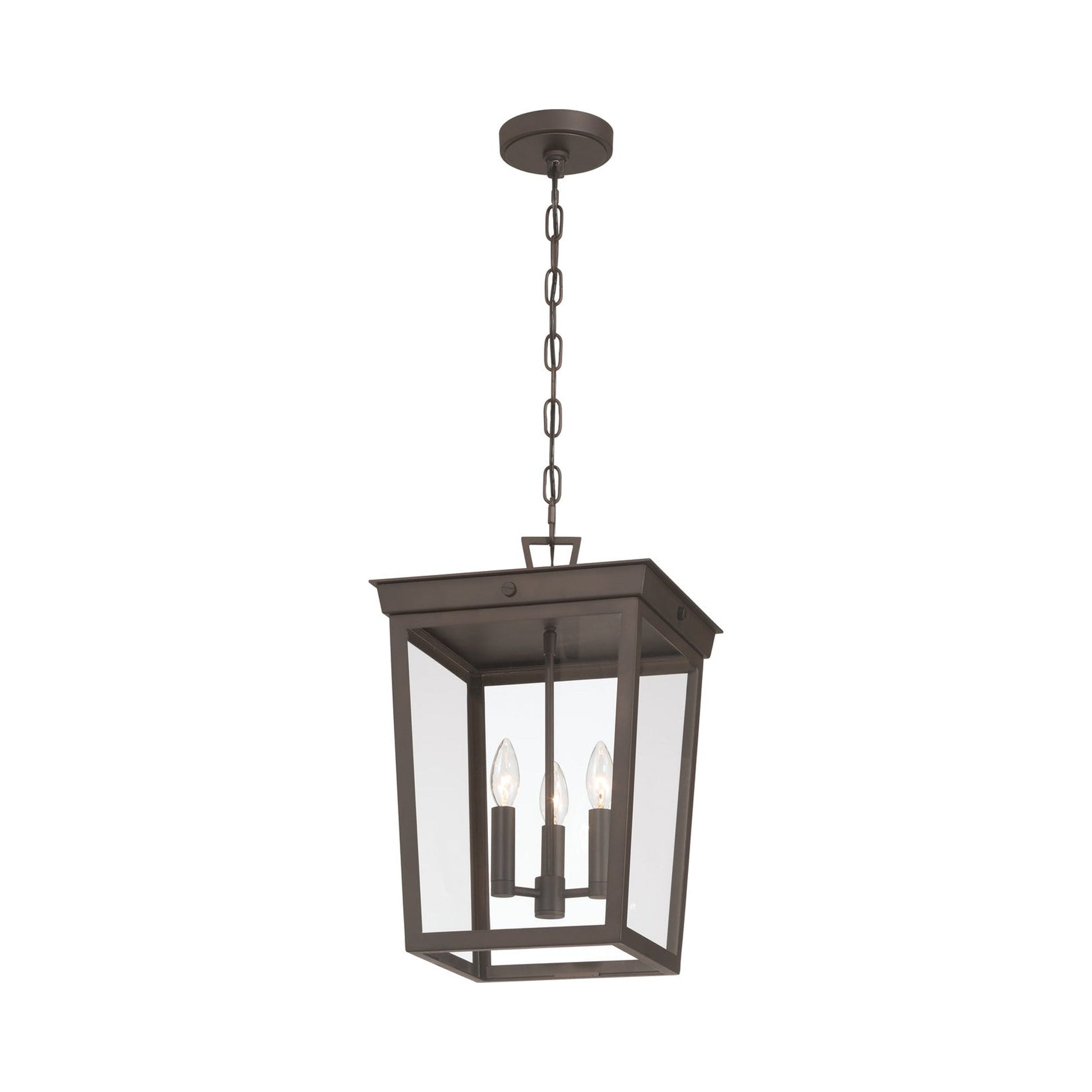 Belmont Outdoor Pendant Light in Detail.