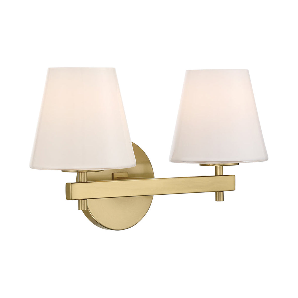 Colton Bath Vanity Light in Detail.