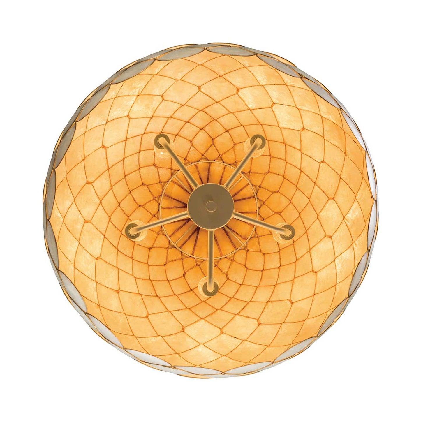 Darby Pendant Light in Detail.