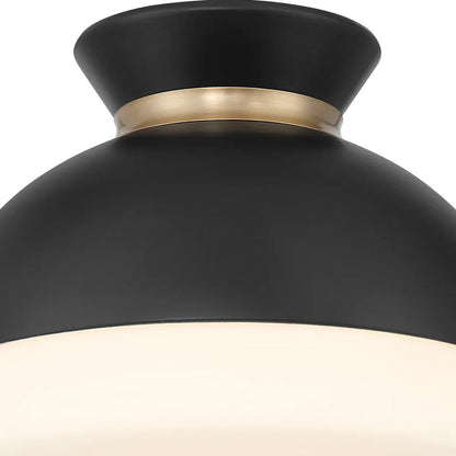 Gidget Flush Mount Ceiling Light in Detail.