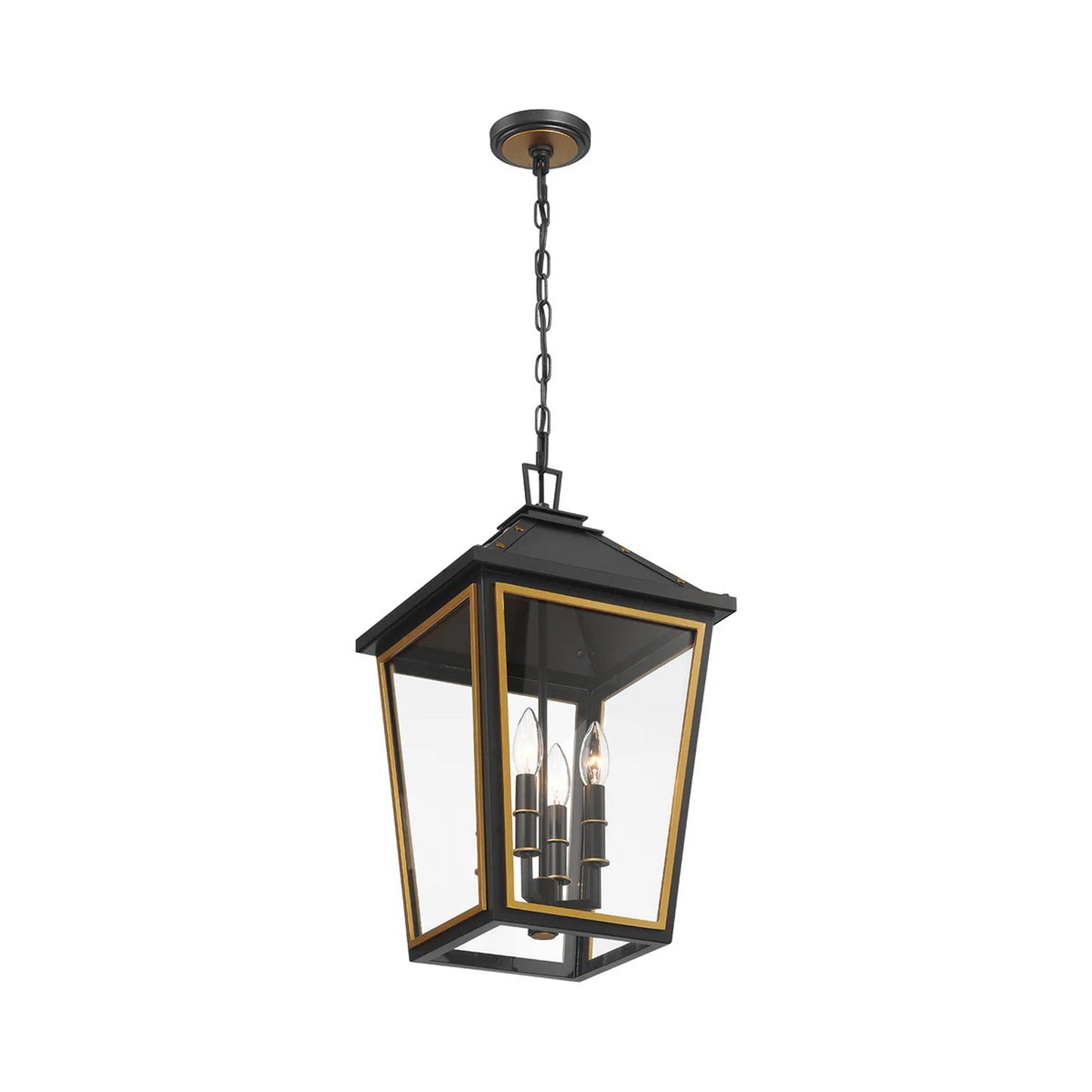 Hawkins Outdoor Pendant Light in Detail.
