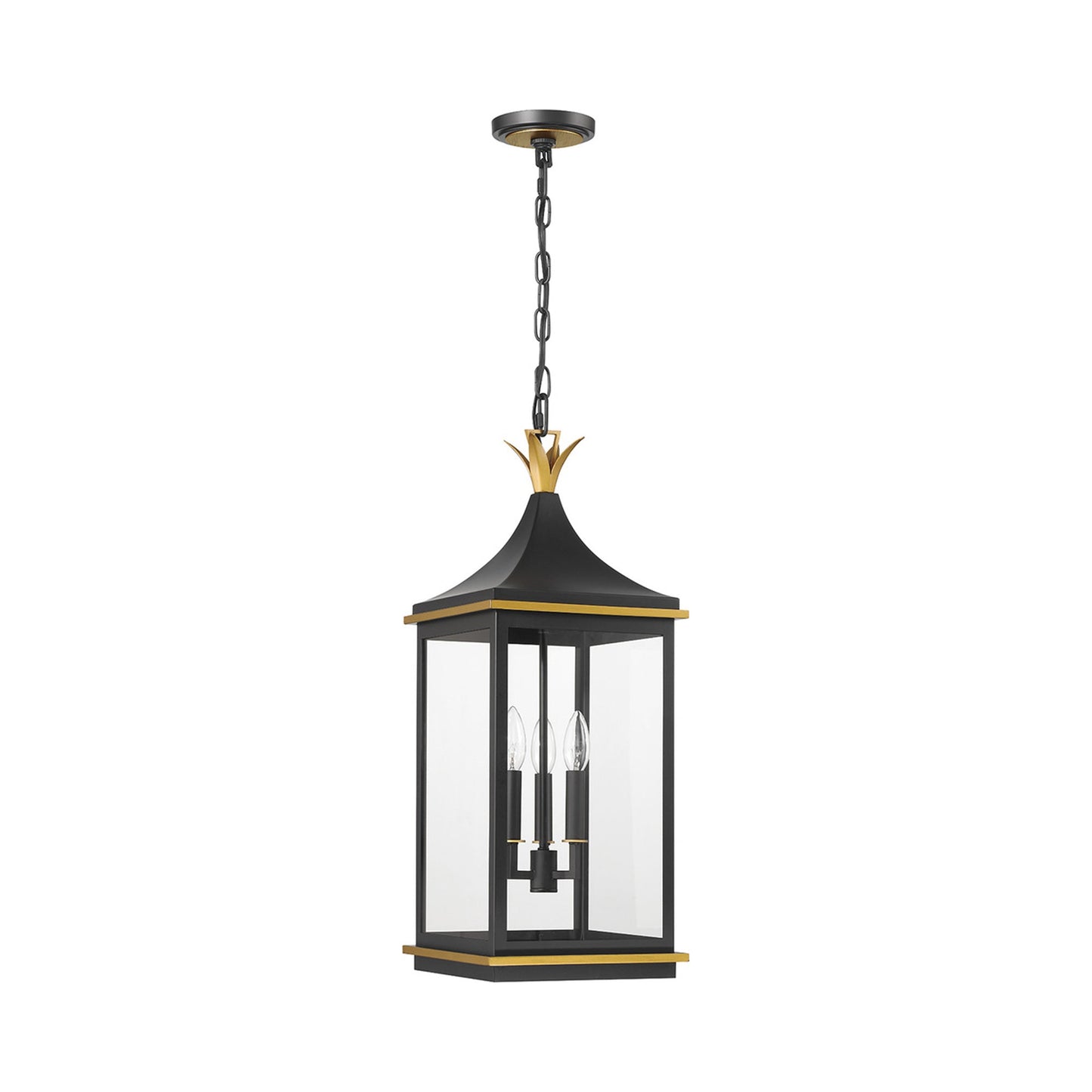 Simpson Outdoor Pendant Light in Detail.