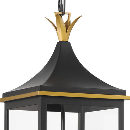 Simpson Outdoor Pendant Light in Detail.