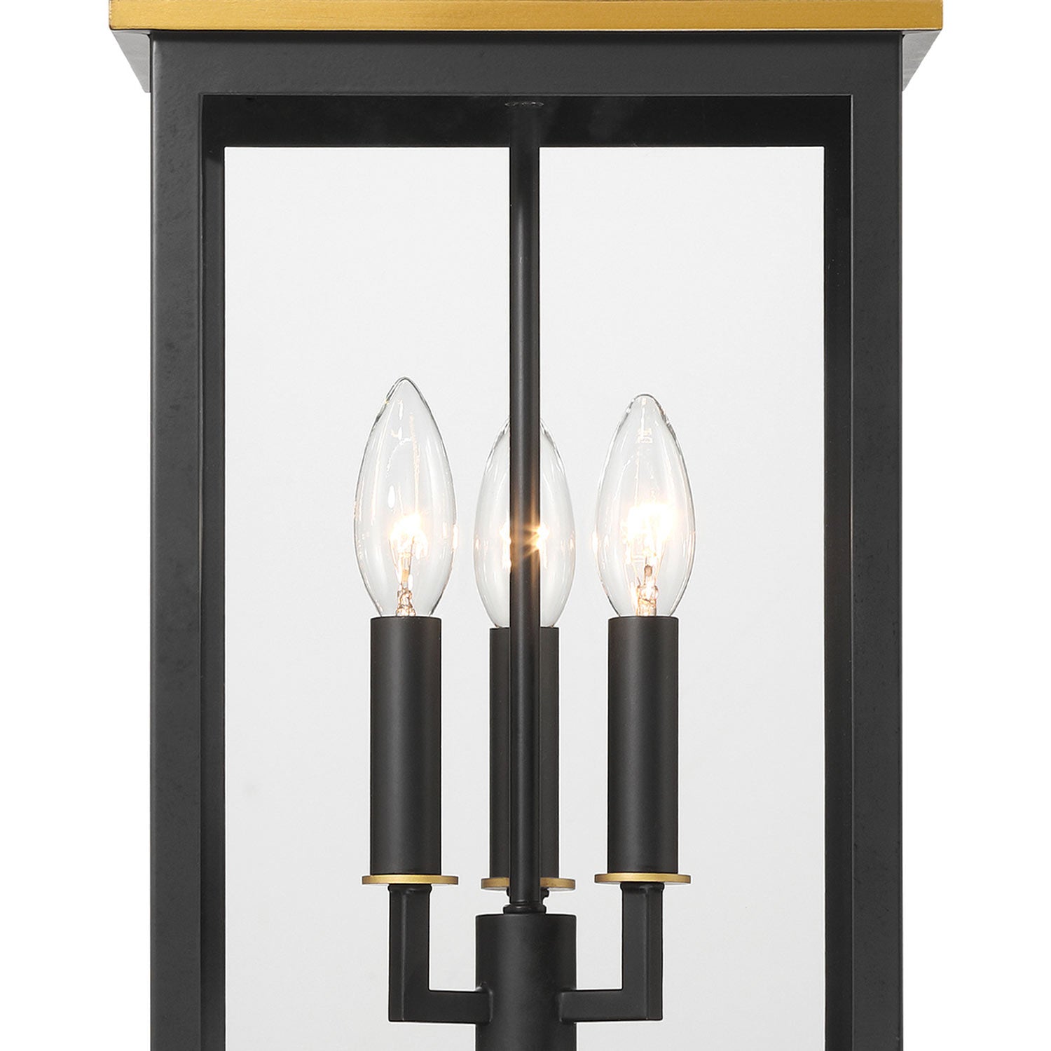 Simpson Outdoor Pendant Light in Detail.