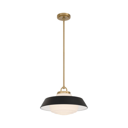 Xander Pendant Light in Black (16-Inch).