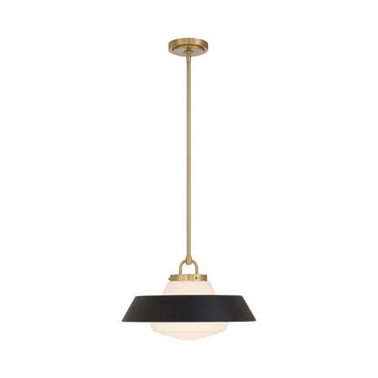 Xander Pendant Light.