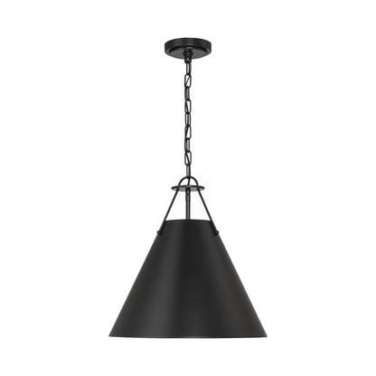 Xavier Pendant Light in Matte Black (16-Inch).