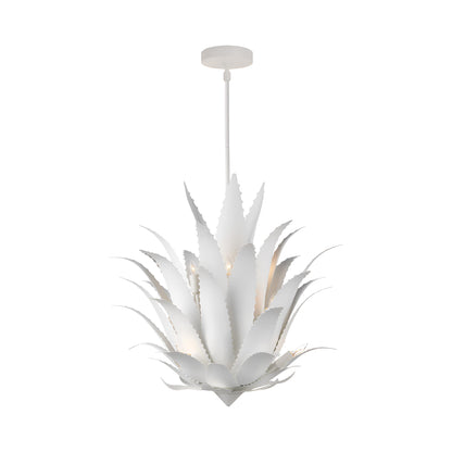 Agave Chandelier.