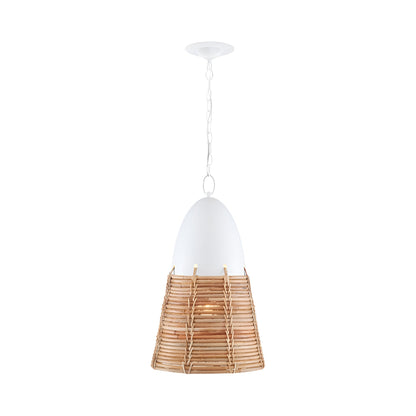 Arundo Pendant Light.