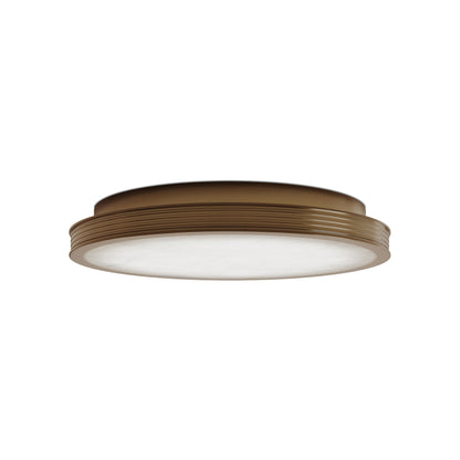 Aydan LED Flush Mount Ceiling Light in Brushed Brass (15.75-Inch).