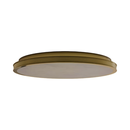 Aydan LED Flush Mount Ceiling Light in Detail.