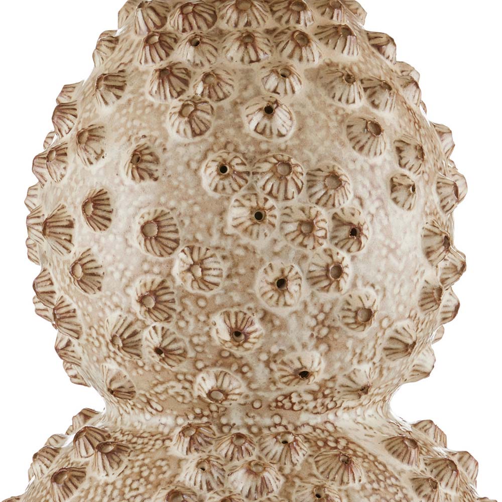 Barnacle Table Lamp in Detail.