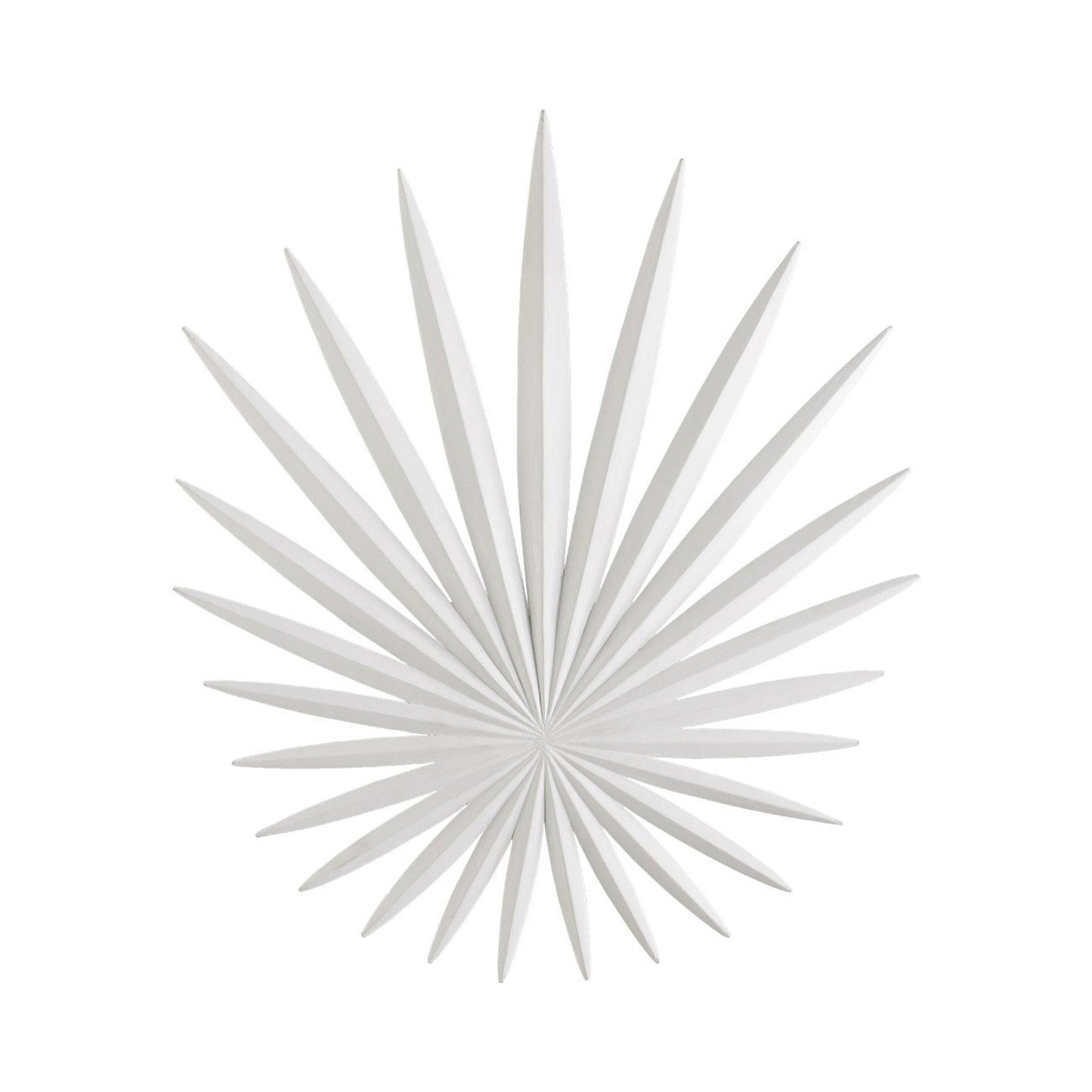 Bismarkia LED Wall Light in Detail.