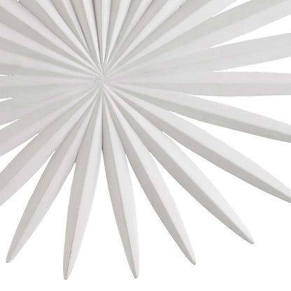 Bismarkia LED Wall Light in Detail.