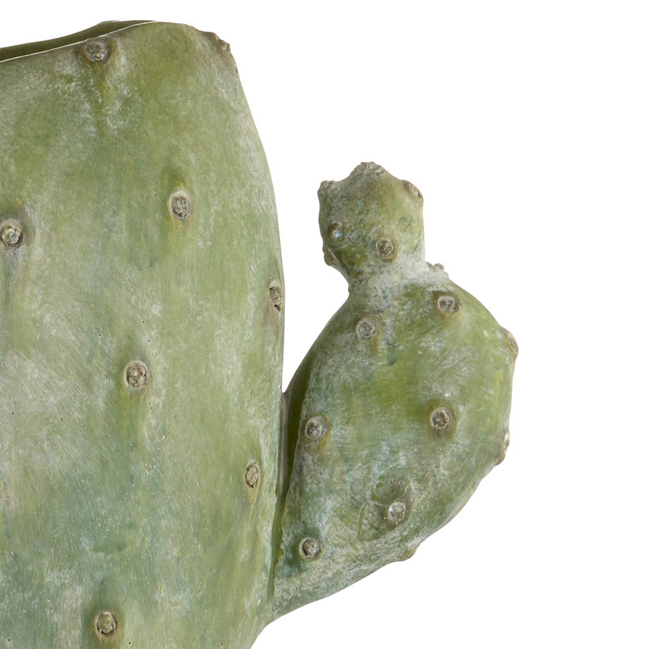 Cactus Table Lamp in Detail.