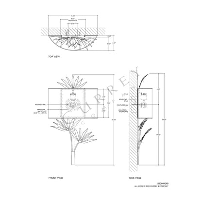 Calliope Wall Light - line drawing.