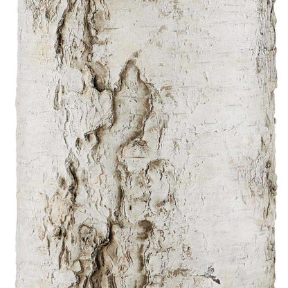 Faux Birch Table Lamp in Detail.