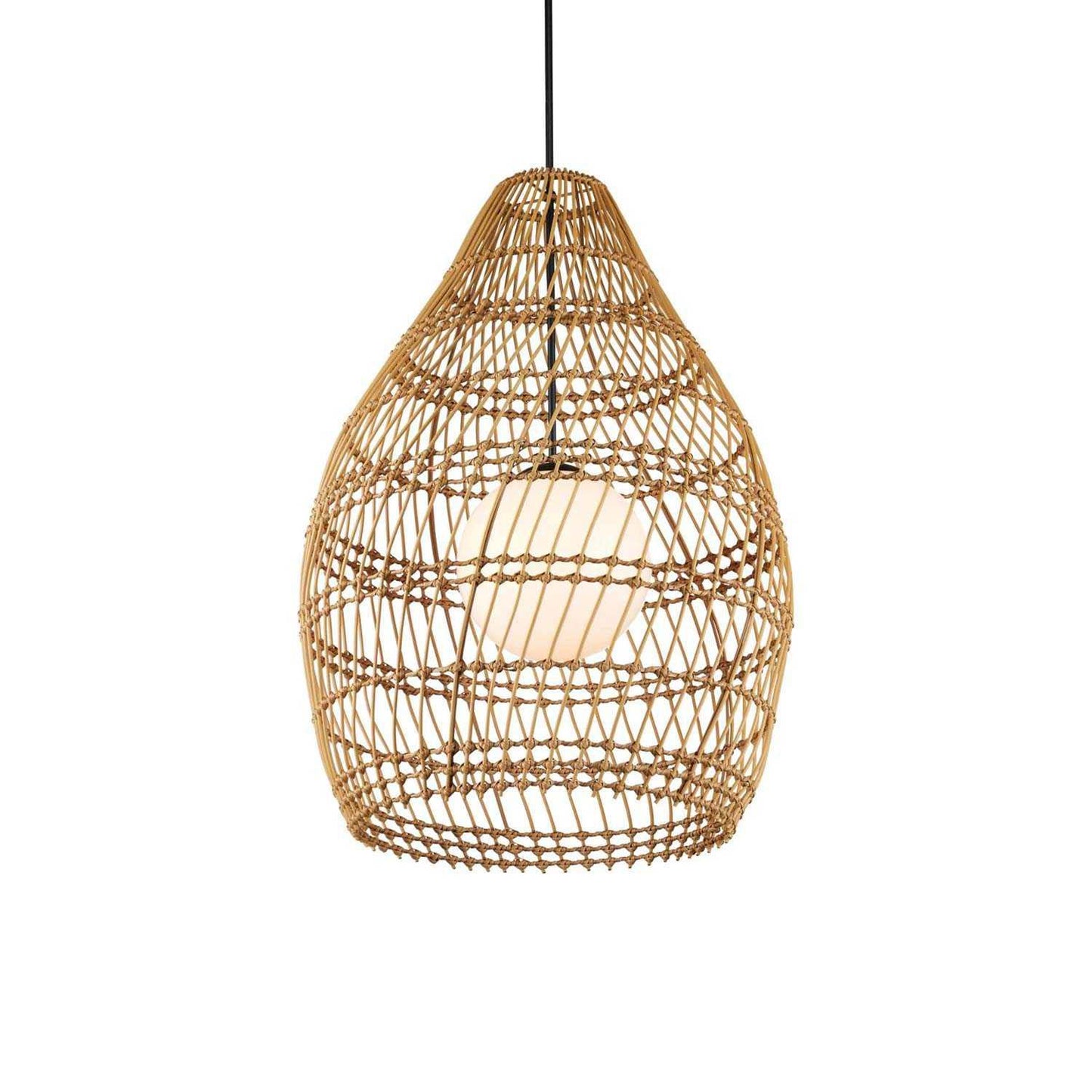 Fishtrap Outdoor Pendant Light in Detail.