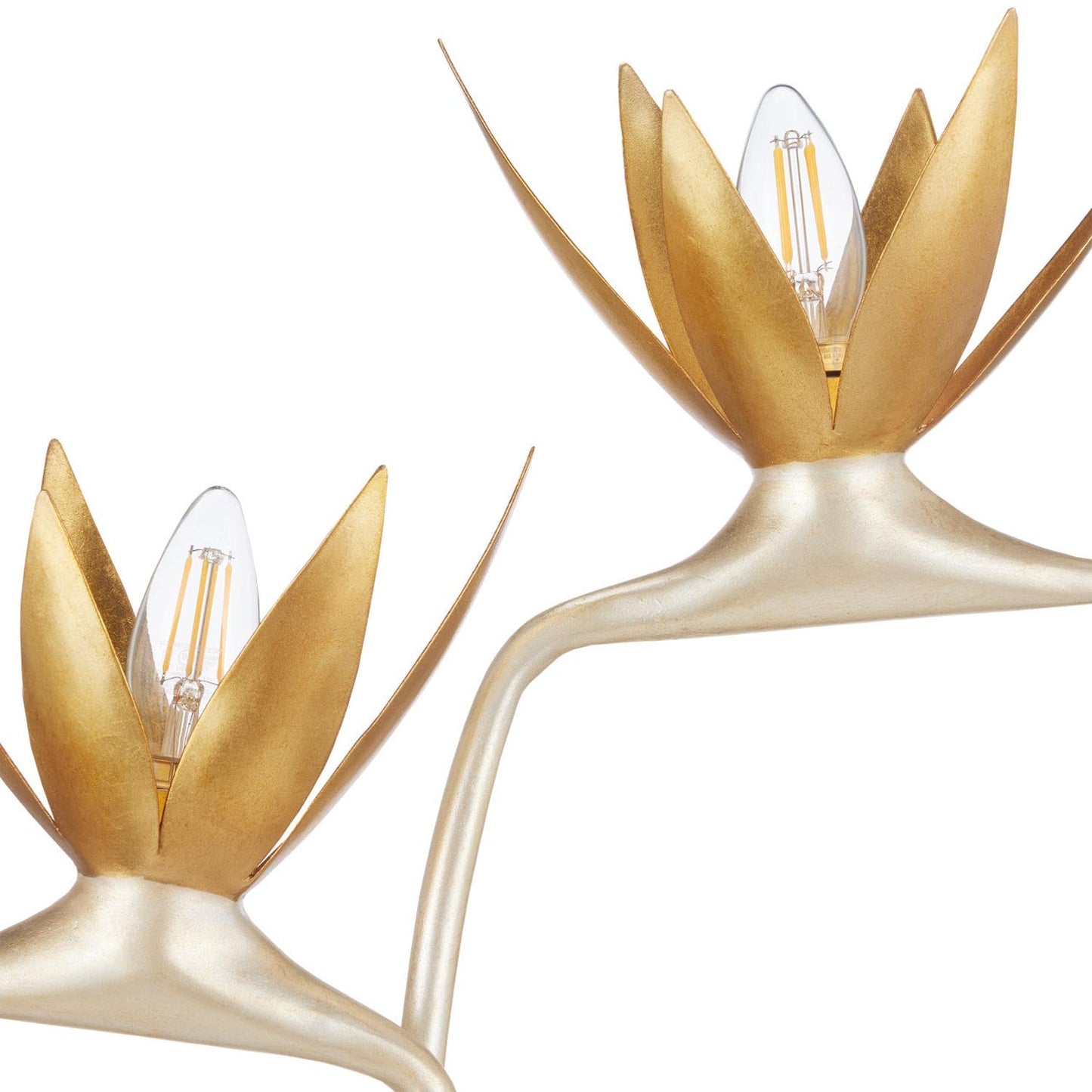 Paradiso Table Lamp in Detail.