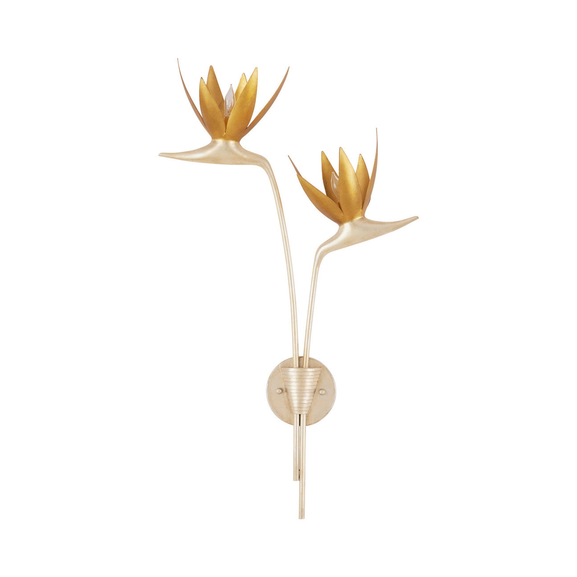 Paradiso Wall Light in Detail.