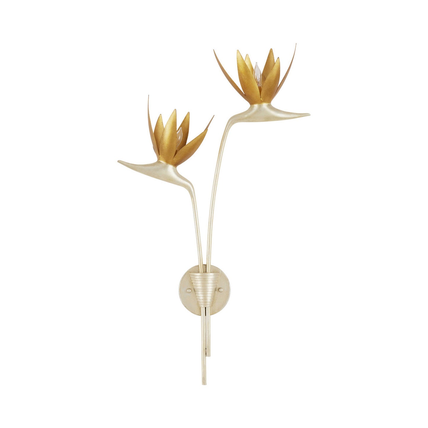 Paradiso Wall Light in Detail.