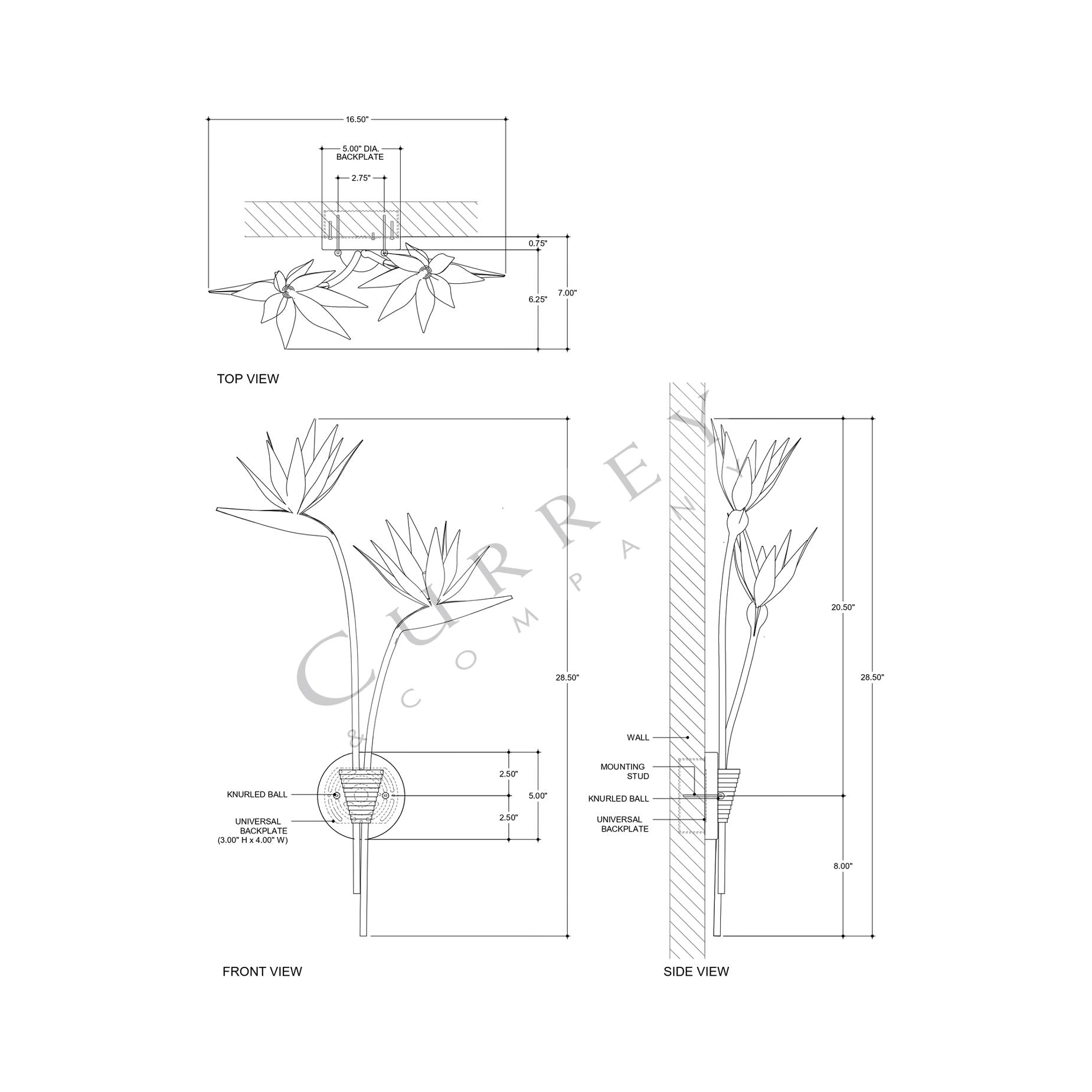 Paradiso Wall Light - line drawing.