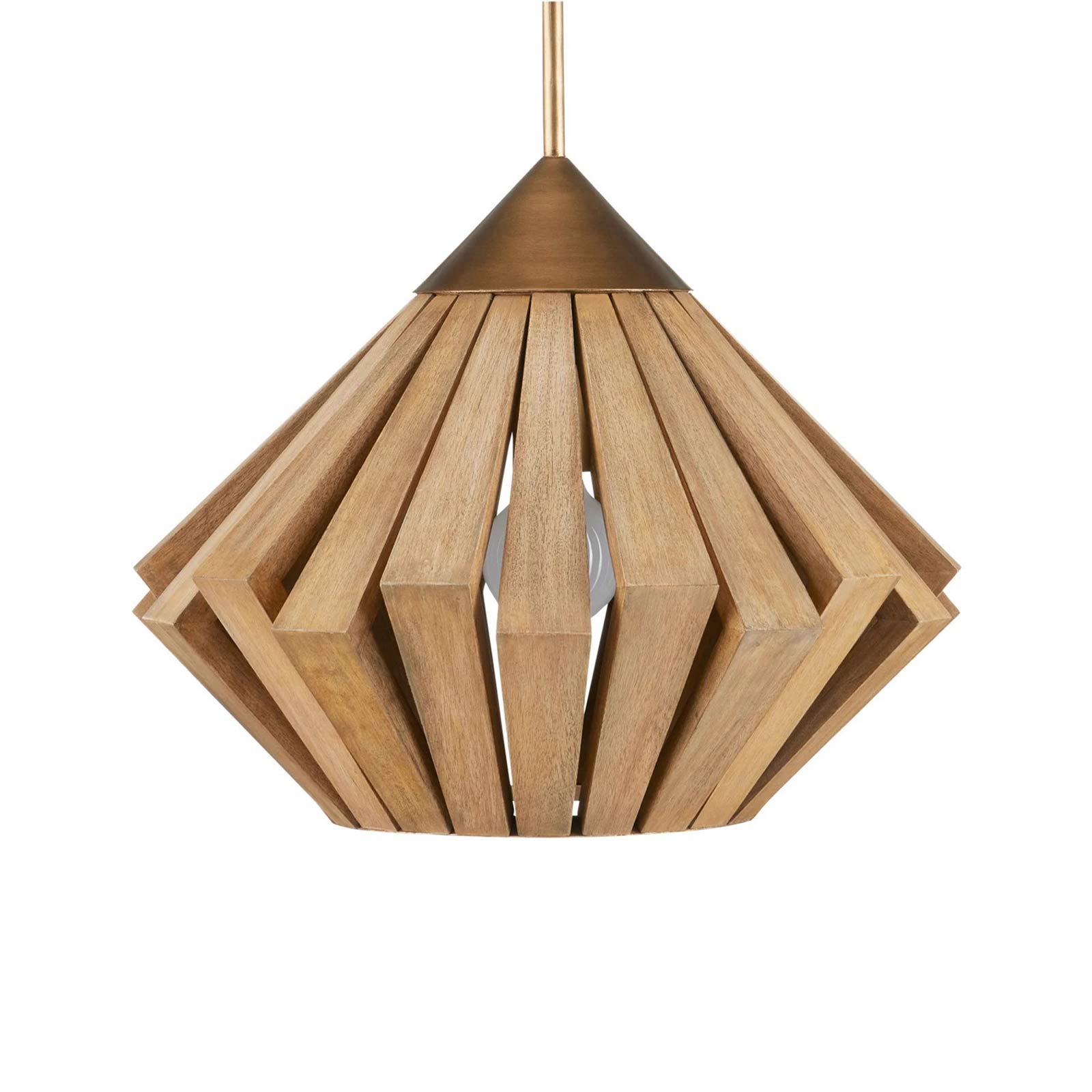 Plunge Pendant Light in Detail.