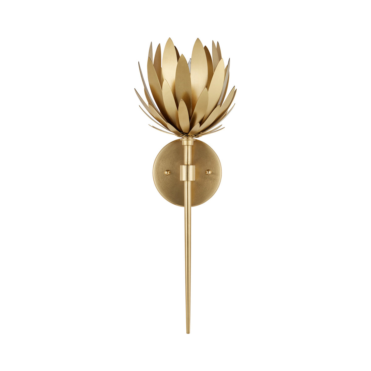 Protea Wall Light in Detail.