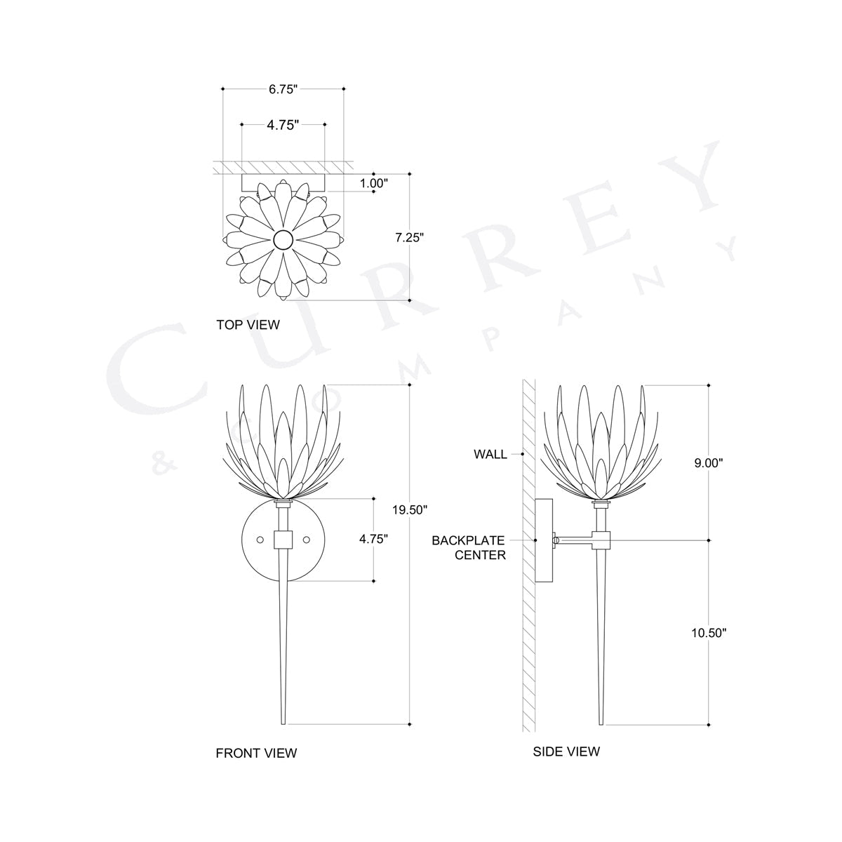 Protea Wall Light - line drawing.