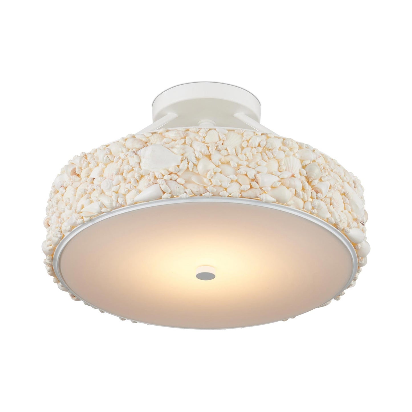 Turbinella LED Semi Flush Mount Ceiling Light in Detail.