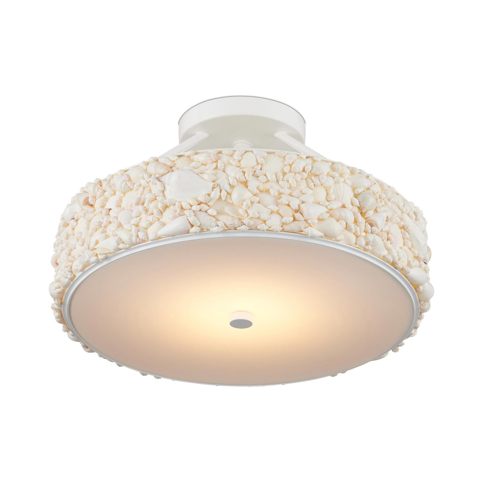 Turbinella LED Semi Flush Mount Ceiling Light in Detail.