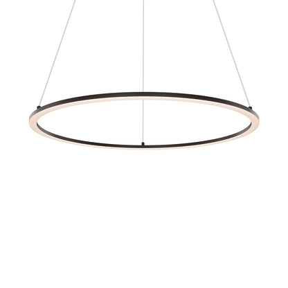 Circa LED Pendant Light in Black.