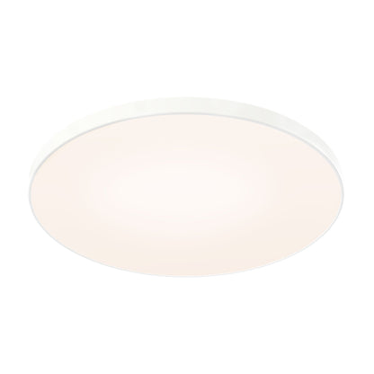 Fusion LED Flush Mount Ceiling Light (21-Inch).