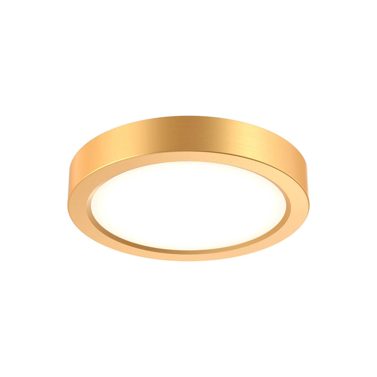 Delta Round Indoor/Outdoor LED Flush Mount Ceiling Light.