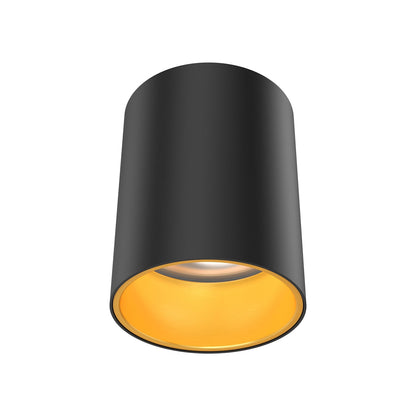 Focus Internal Trim in Detail.