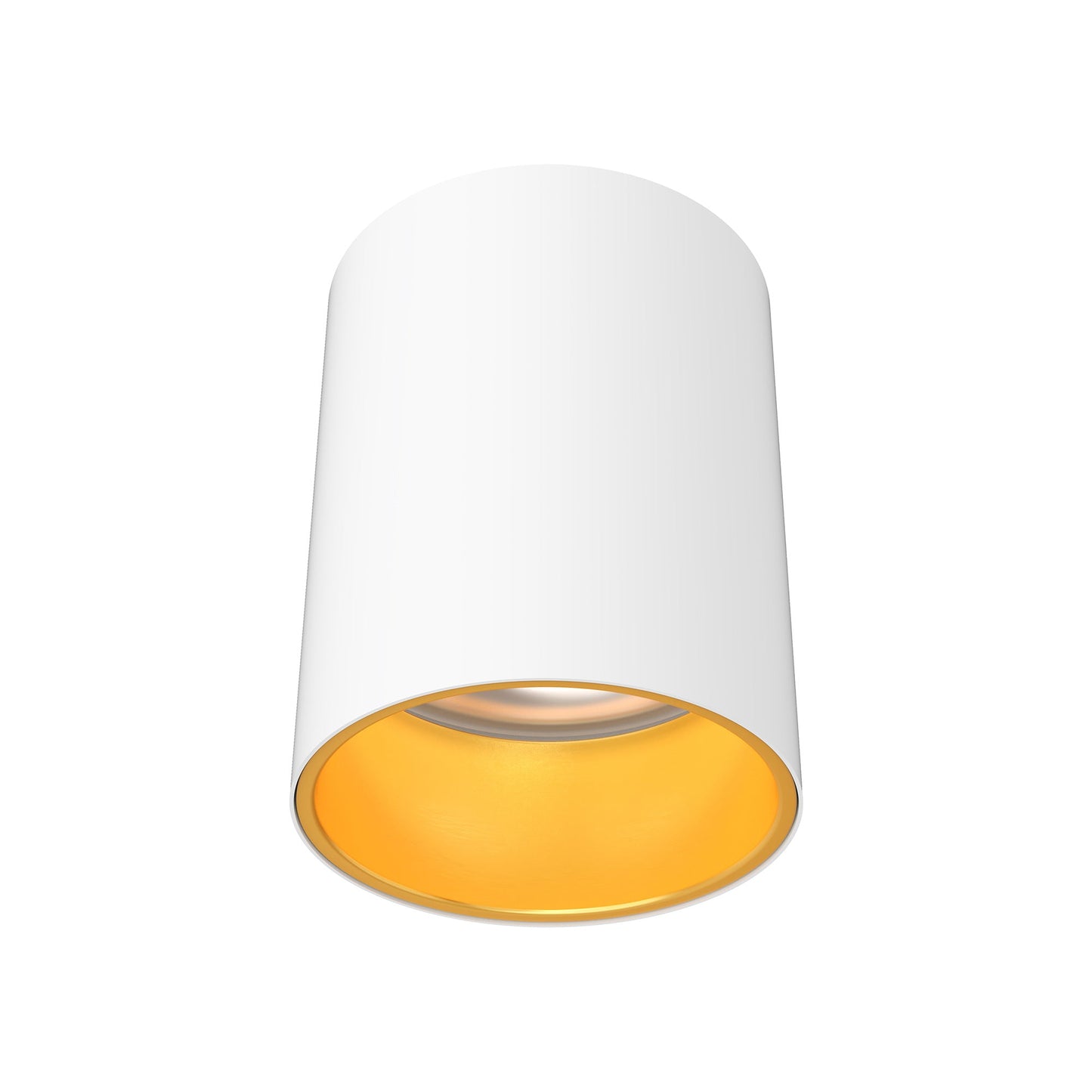 Focus Internal Trim in Detail.