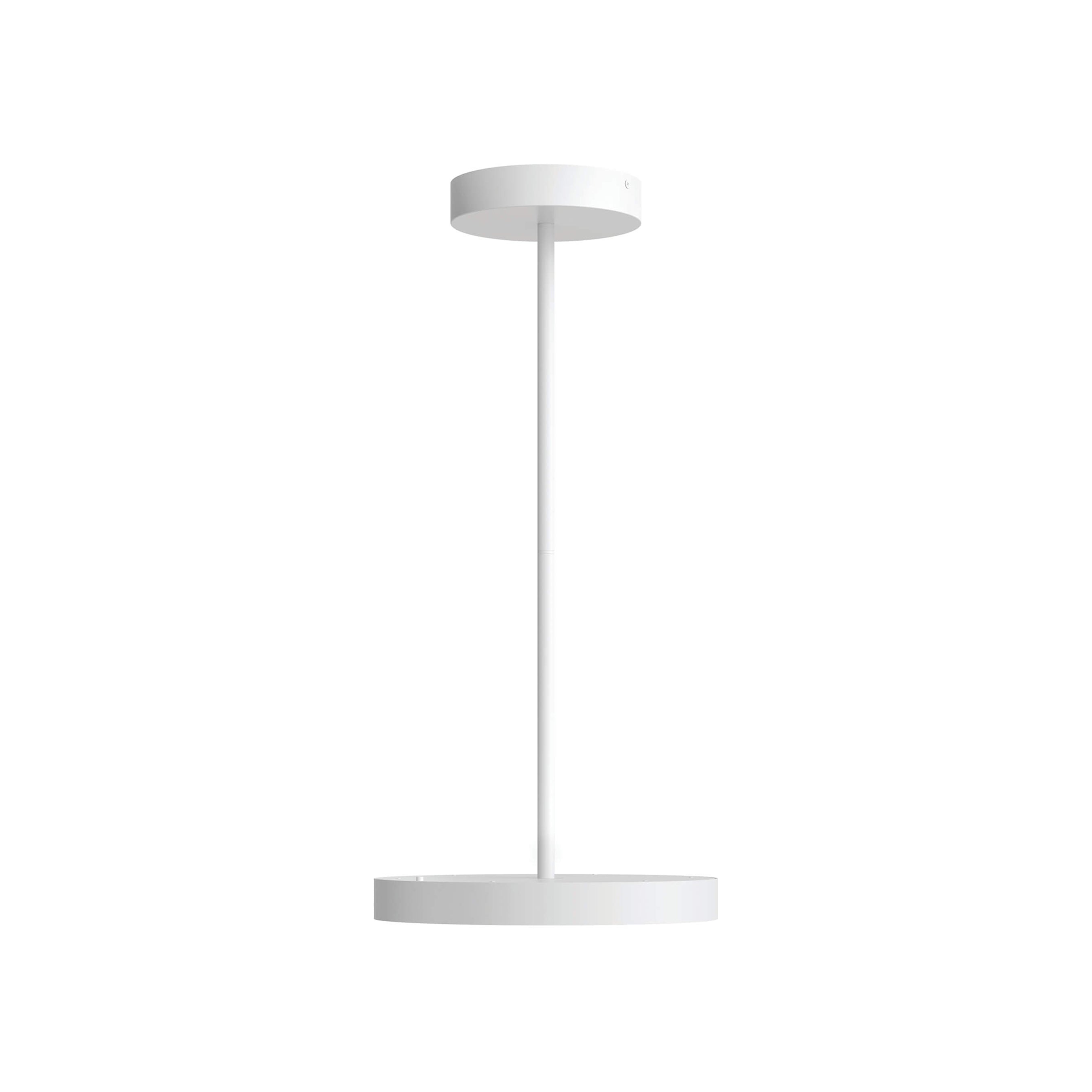 Fusion LED Pendant Light.