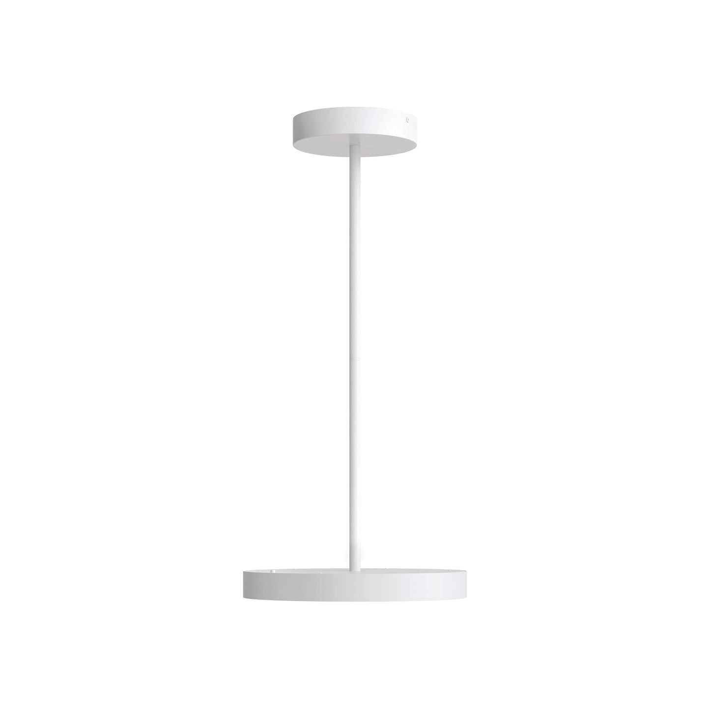Fusion LED Pendant Light.