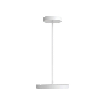 Fusion LED Pendant Light.