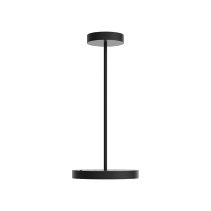Fusion LED Pendant Light in Detail.