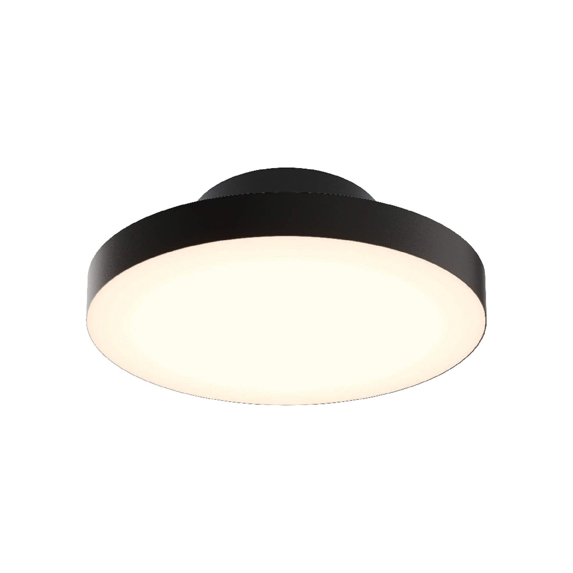 Fusion LED Pendant Light in Detail.