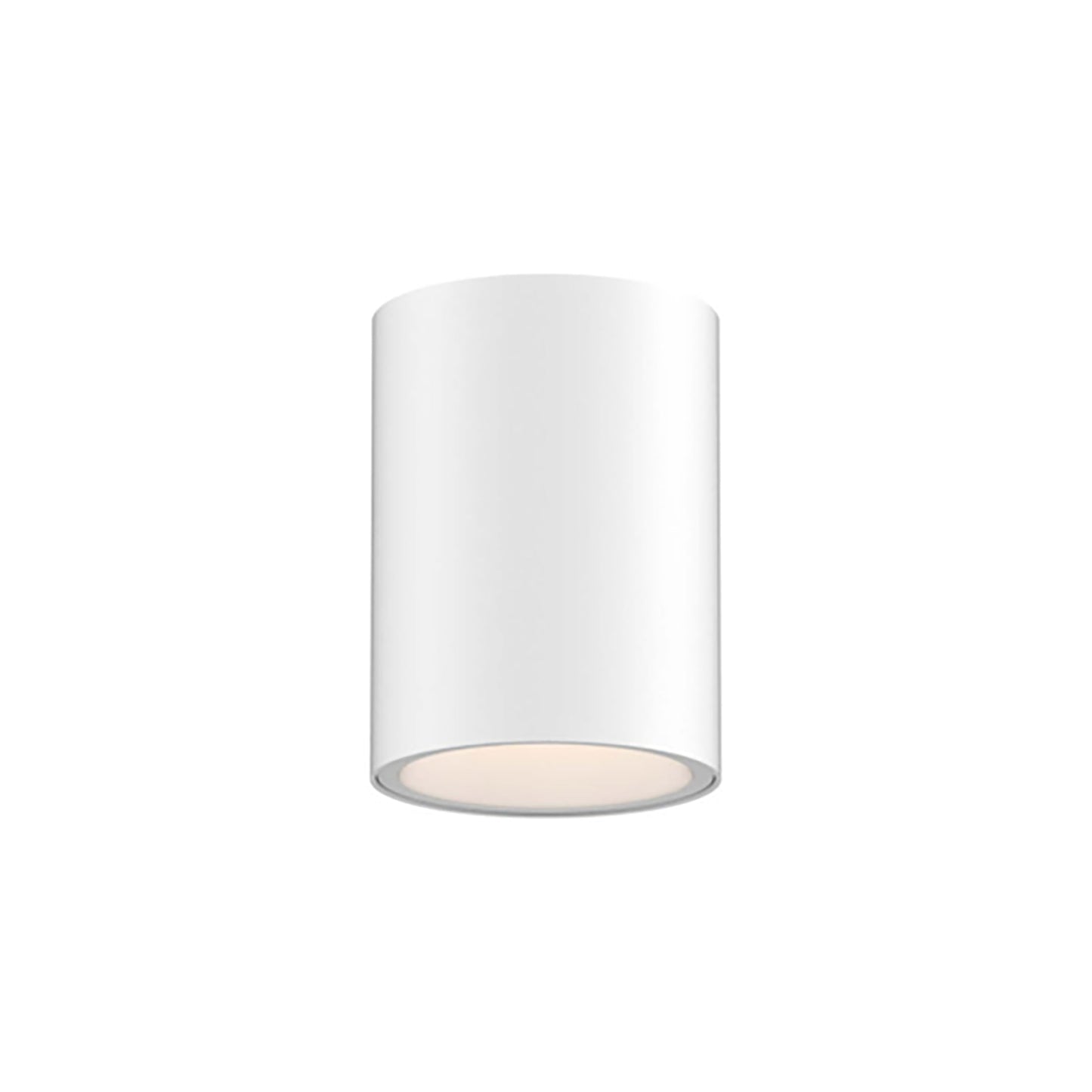 Pillar Cylinder LED Flush Mount Ceiling Light in White (8-Inch).