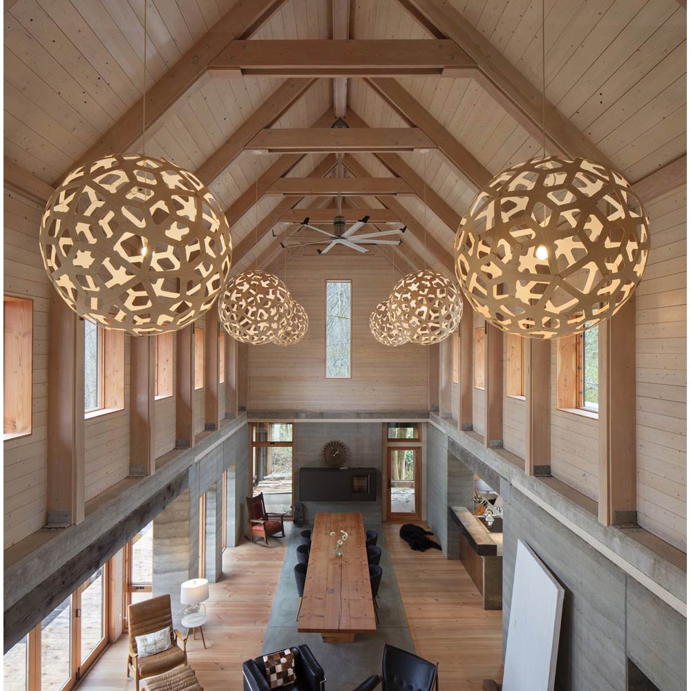 Coral Pendant Light in dining room.