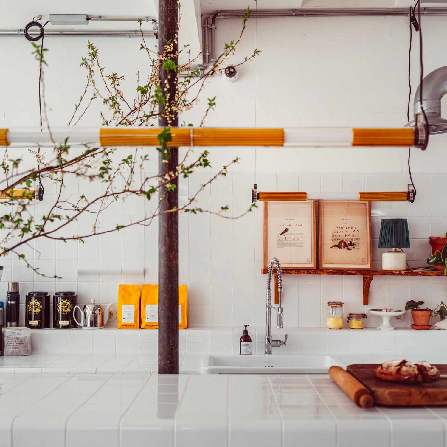 In The Tube 360° Horizontal LED Pendant Light.