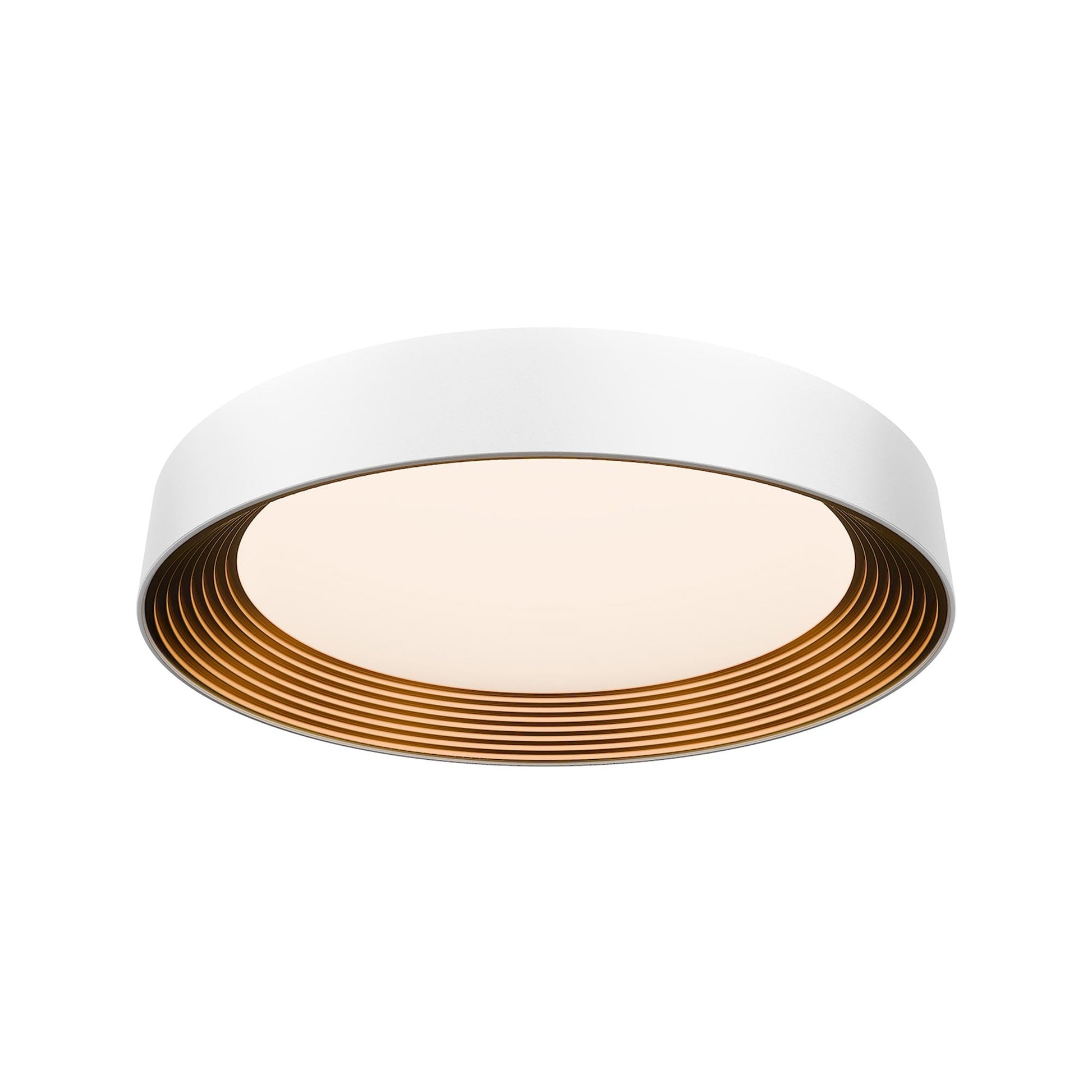 Gaston LED Flush Mount Ceiling Light in Detail.