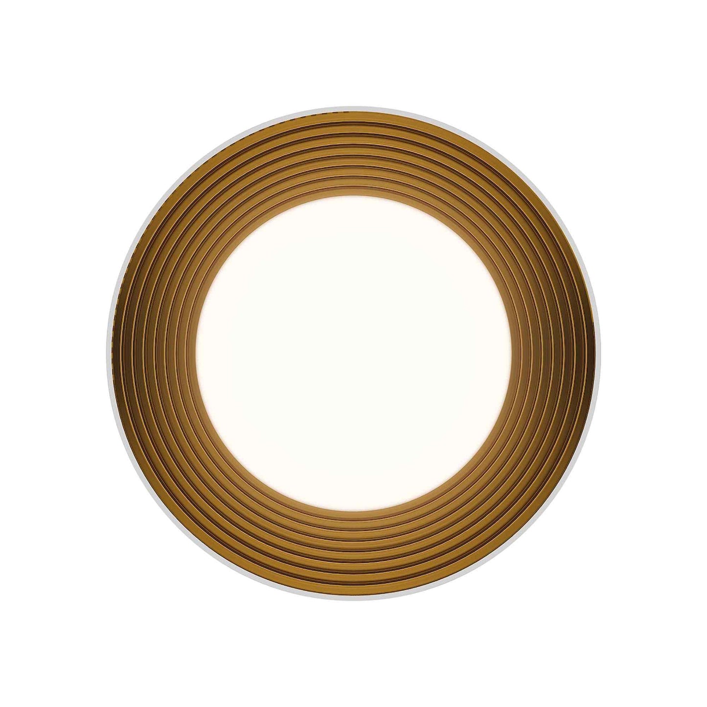 Gaston LED Flush Mount Ceiling Light in Detail.
