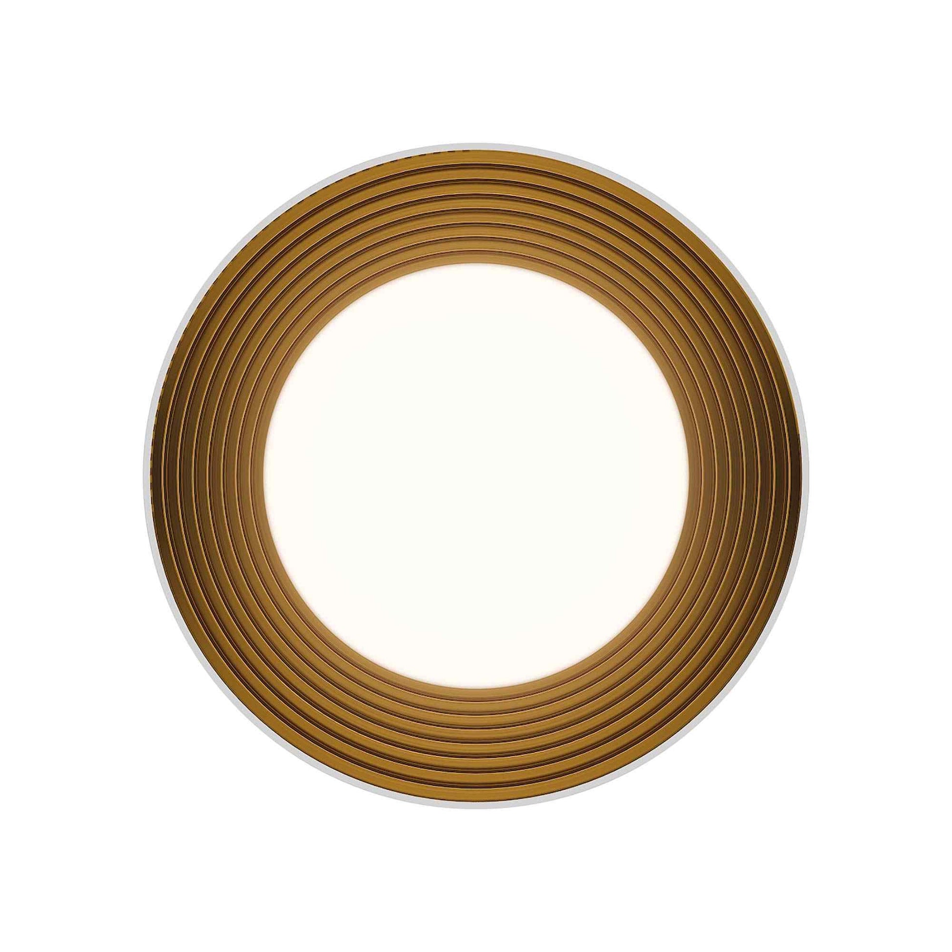 Gaston LED Flush Mount Ceiling Light in Detail.